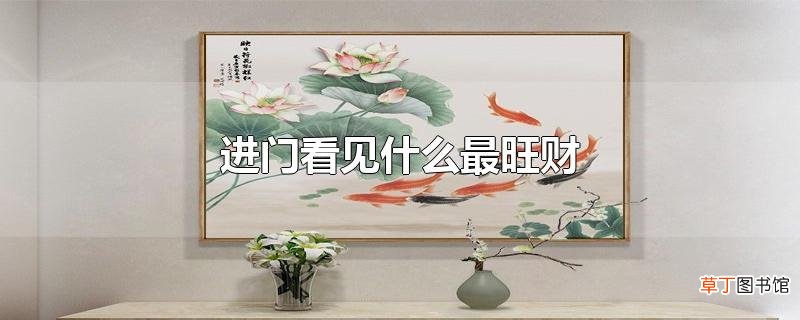 进门看见什么最旺财