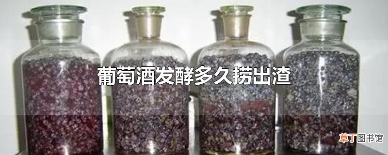 葡萄酒发酵多久捞出渣