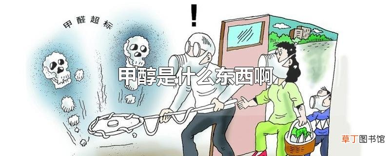 甲醇是什么东西啊