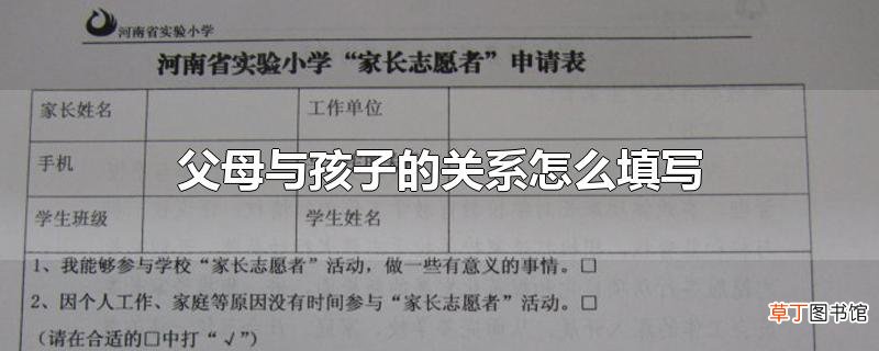 父母与孩子的关系怎么填写