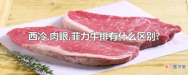 西冷,肉眼,菲力牛排有什么区别?