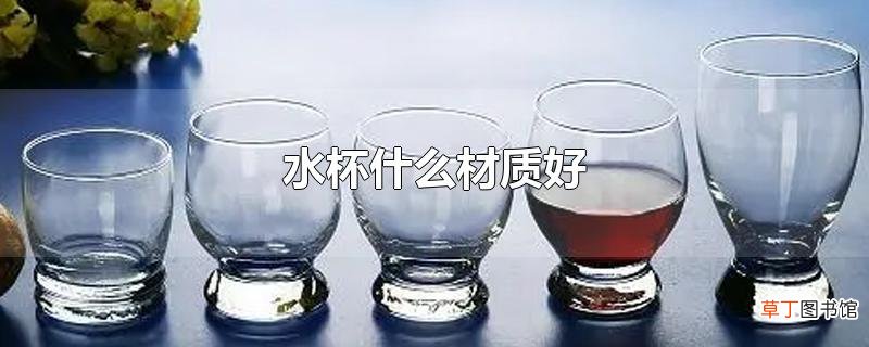 水杯什么材质好