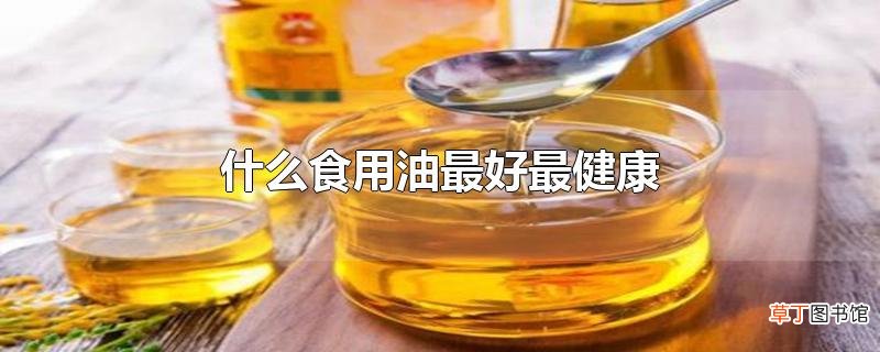 什么食用油最好最健康