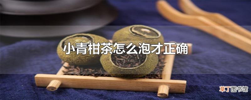 小青柑茶怎么泡才正确