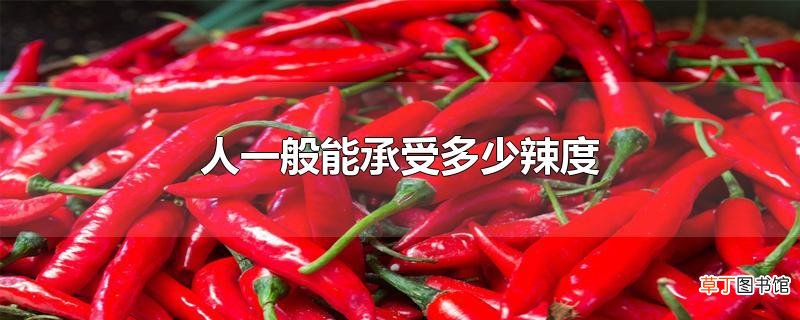 人一般能承受多少辣度
