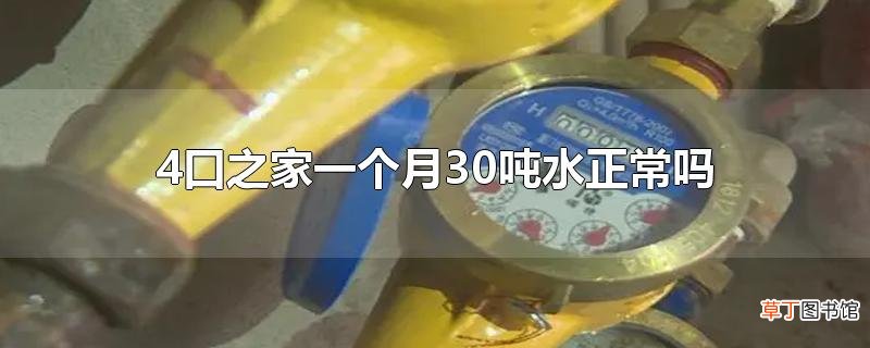 4口之家一个月30吨水正常吗