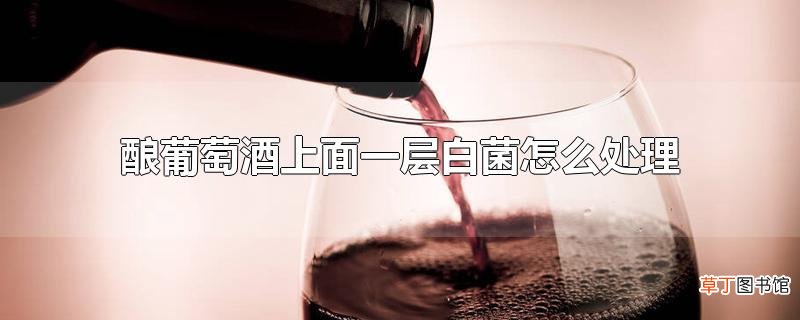 酿葡萄酒上面一层白菌怎么处理