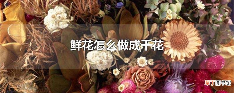 鲜花怎么做成干花