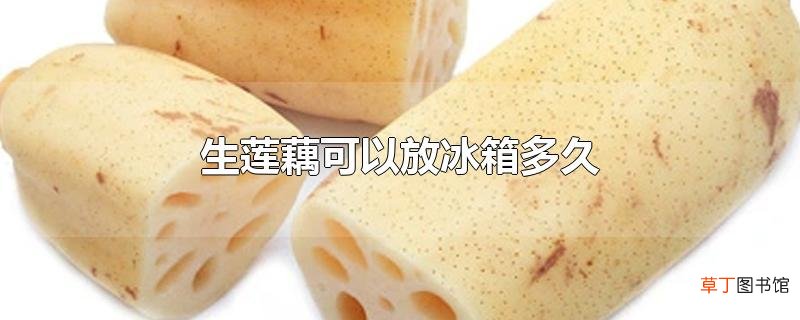 生莲藕可以放冰箱多久