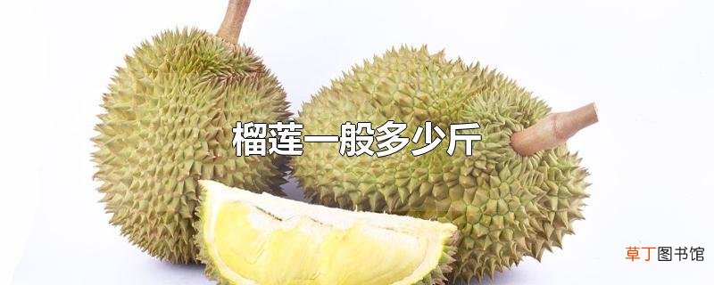 榴莲一般多少斤