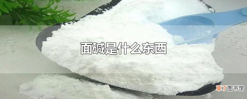 面碱是什么东西
