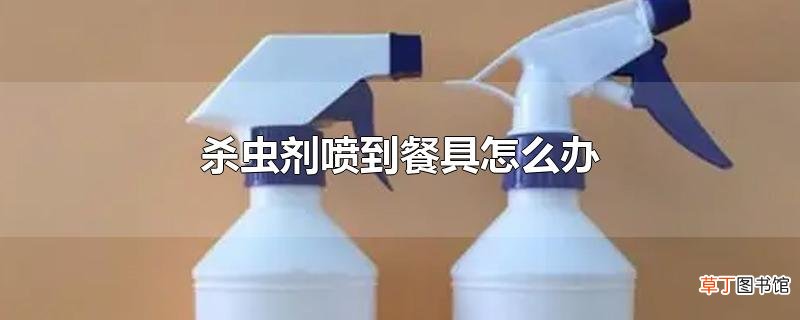 杀虫剂喷到餐具怎么办