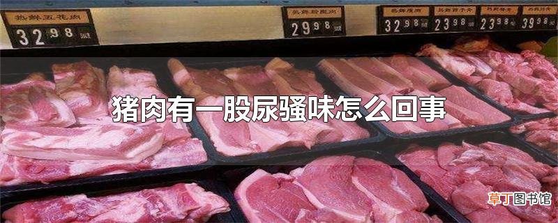 猪肉有一股尿骚味怎么回事