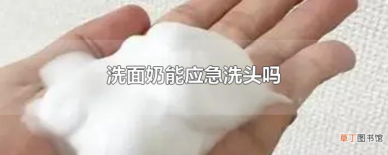 洗面奶能应急洗头吗