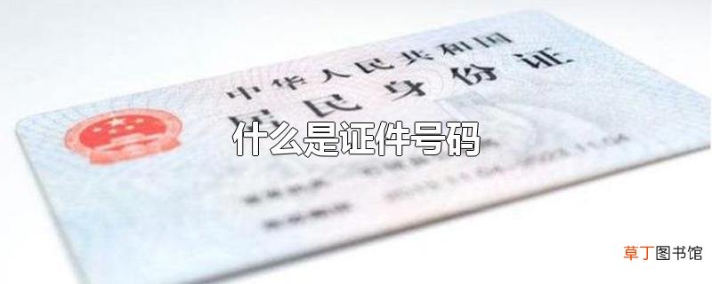 什么是证件号码
