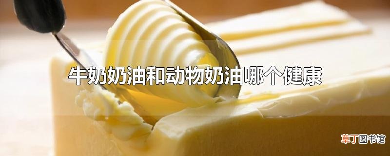 牛奶奶油和动物奶油哪个健康