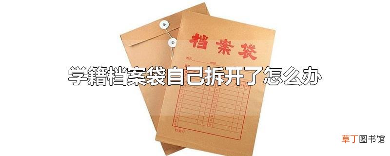 学籍档案袋自己拆开了怎么办