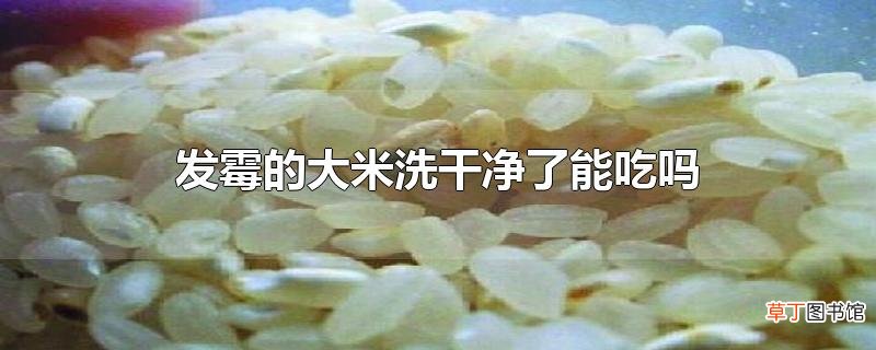 发霉的大米洗干净了能吃吗