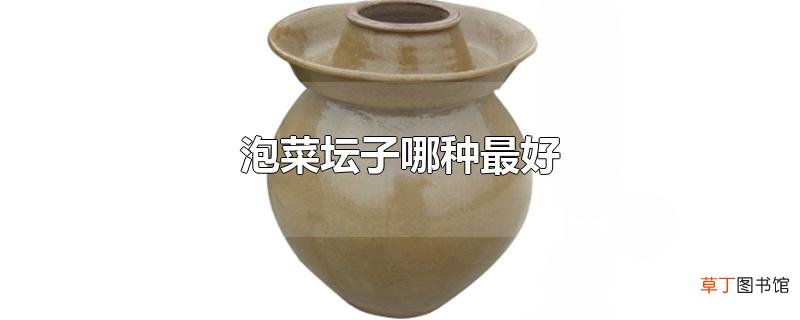 泡菜坛子哪种最好