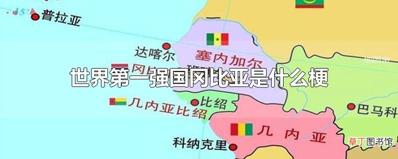 世界第一强国冈比亚是什么梗