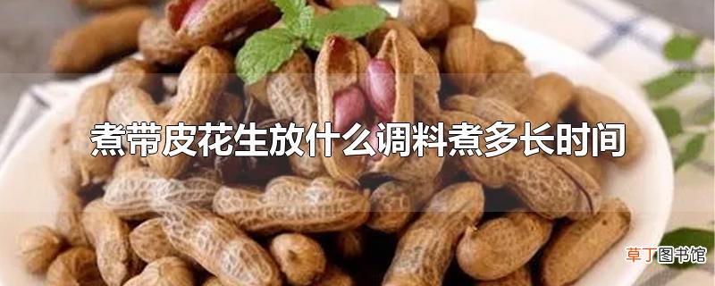 煮带皮花生放什么调料煮多长时间