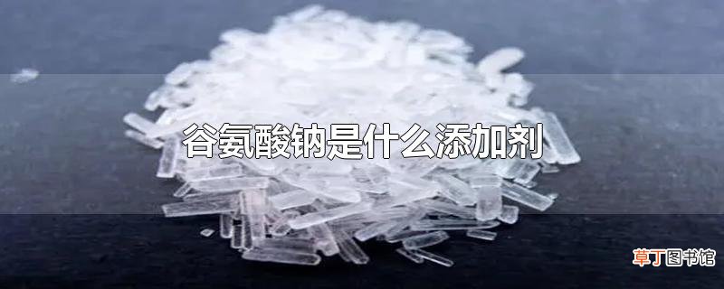 谷氨酸钠是什么添加剂