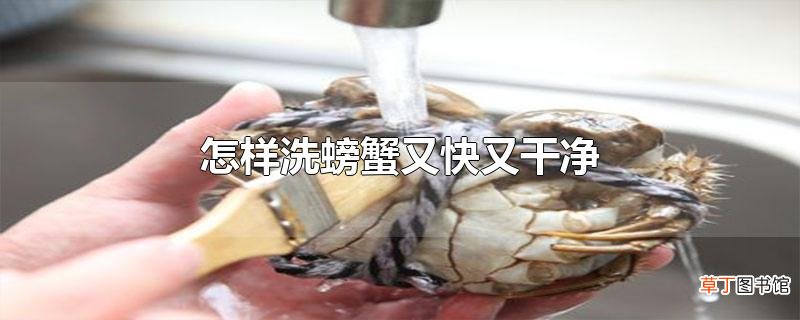 怎样洗螃蟹又快又干净