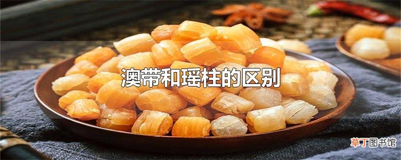 澳带和瑶柱的区别