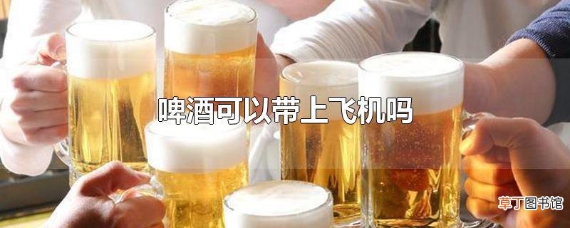 啤酒可以带上飞机吗