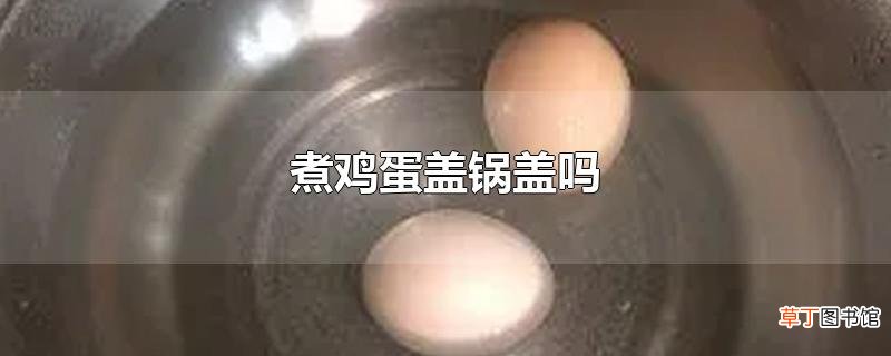 煮鸡蛋盖锅盖吗