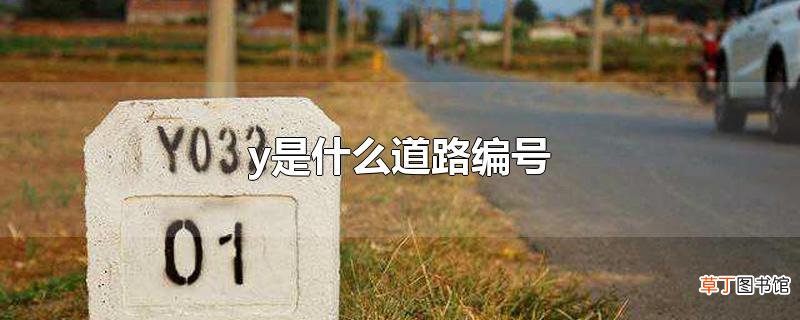 y是什么道路编号