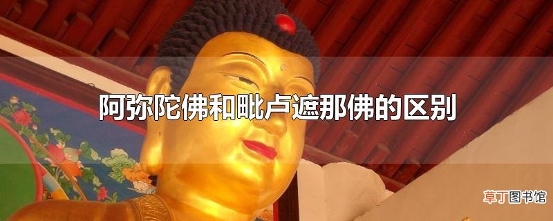 阿弥陀佛和毗卢遮那佛的区别
