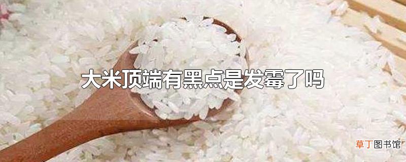 大米顶端有黑点是发霉了吗