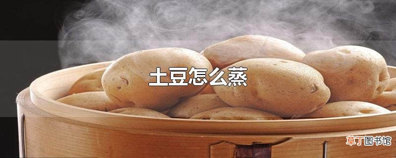 土豆怎么蒸