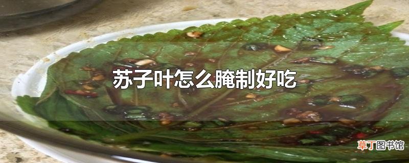 苏子叶怎么腌制好吃