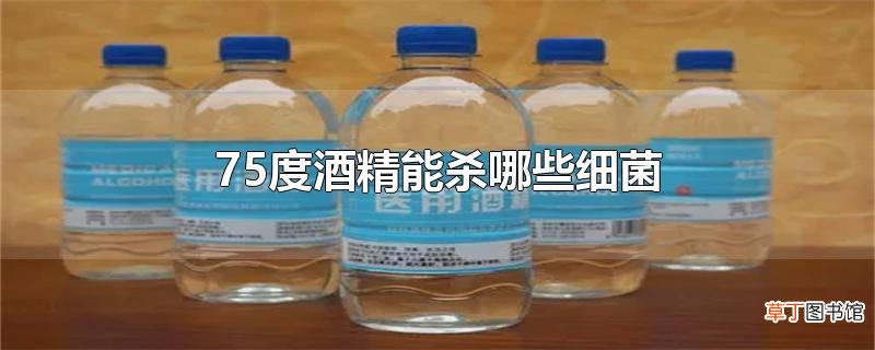 75度酒精能杀哪些细菌