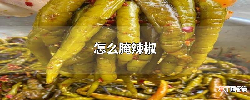 怎么腌辣椒