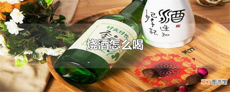 烧酒怎么喝