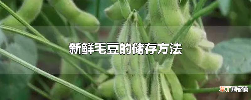 新鲜毛豆的储存方法