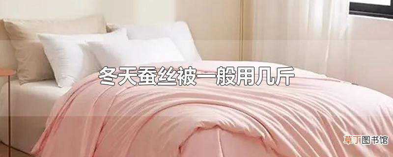 冬天蚕丝被一般用几斤