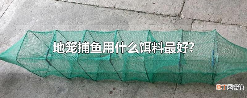 地笼捕鱼用什么饵料最好?