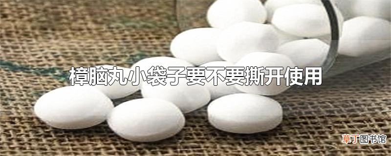 樟脑丸小袋子要不要撕开使用