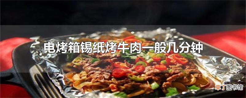 电烤箱锡纸烤牛肉一般几分钟