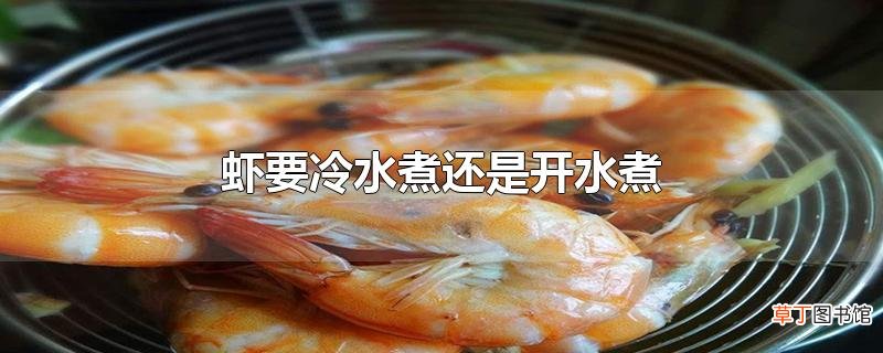 虾要冷水煮还是开水煮