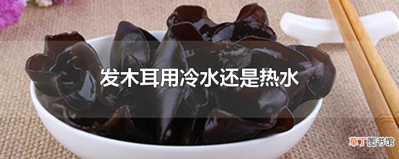 发木耳用冷水还是热水