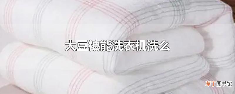 大豆被能洗衣机洗么