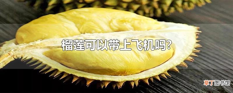 榴莲可以带上飞机吗?