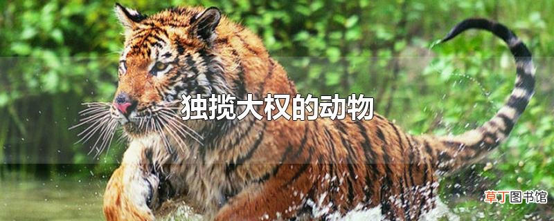 独揽大权的动物