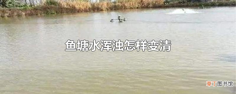 鱼塘水浑浊怎样变清