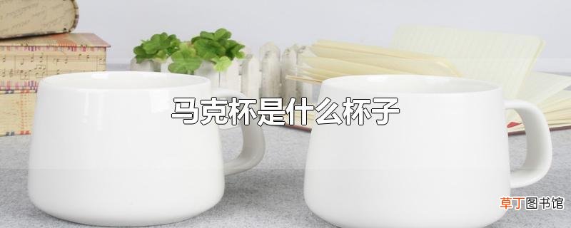 马克杯是什么杯子